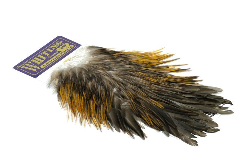 Whiting American Rooster Saddle â€“ dealerweb-cms-c5b7ab88-2f6b-44e0-a022-58b238f27ced.jpg