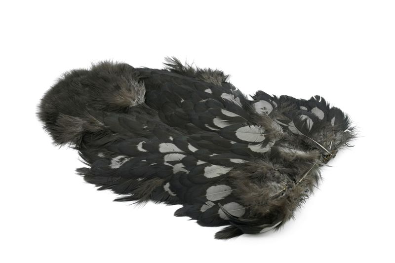 Whiting American Hen SH/C â€“ dealerweb-cms-c65f9b73-252a-4327-a9b0-7a43ead680ff.jpg