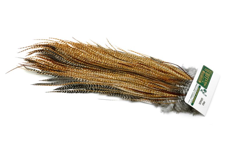 Whiting Hebert Rooster Saddle – Bronze â€“ dealerweb-cms-c8d1c57a-480f-49fd-bf63-3bb8e7108d1e.jpg