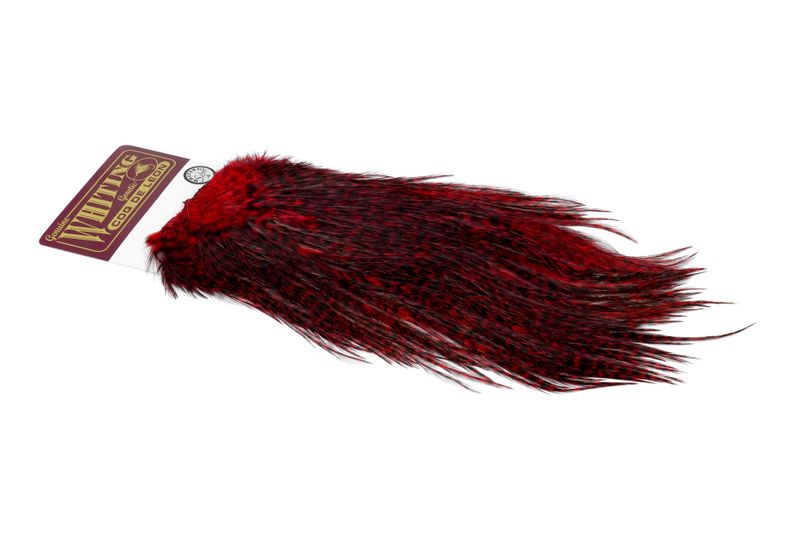 Whiting Coq de Leon Rooster Saddle – Silver â€“ dealerweb-cms-ca72fd05-9cf5-4ba2-974f-b190ff62c812.jpg