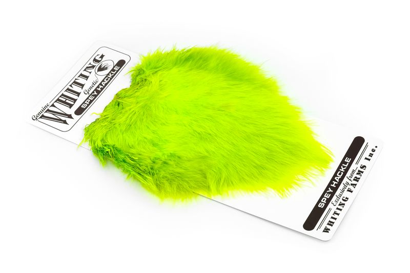Whiting Spey Hackle Hen Saddle â€“ dealerweb-cms-ca872b20-fa7e-49cb-8f3e-6ea21bef1d5f.jpg