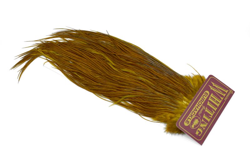 Whiting Eurohackle Saddle â€“ dealerweb-cms-cd0877dc-f77e-4456-9d2f-5709c7426e9b.jpg