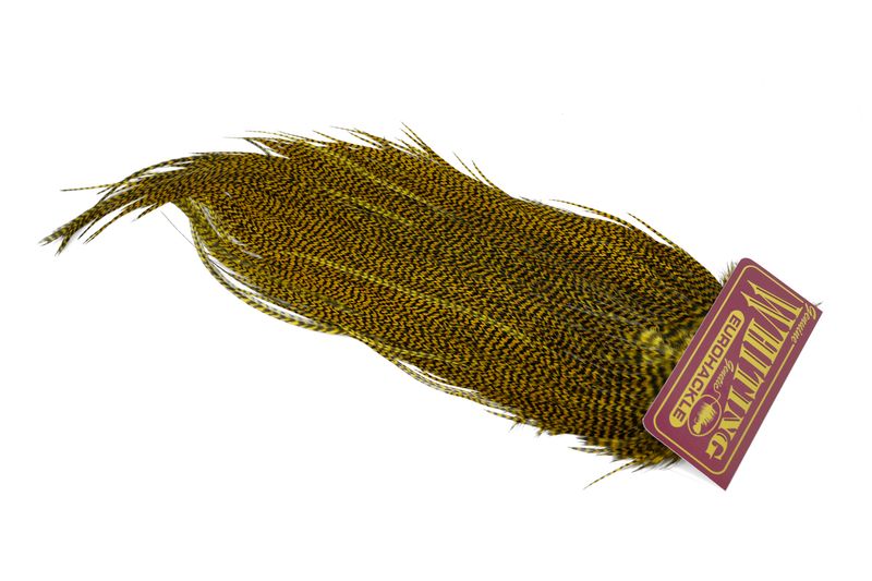 Whiting Eurohackle Saddle â€“ dealerweb-cms-cf6b32ba-4282-4fb5-a218-fa02f5dbc8c5.jpg