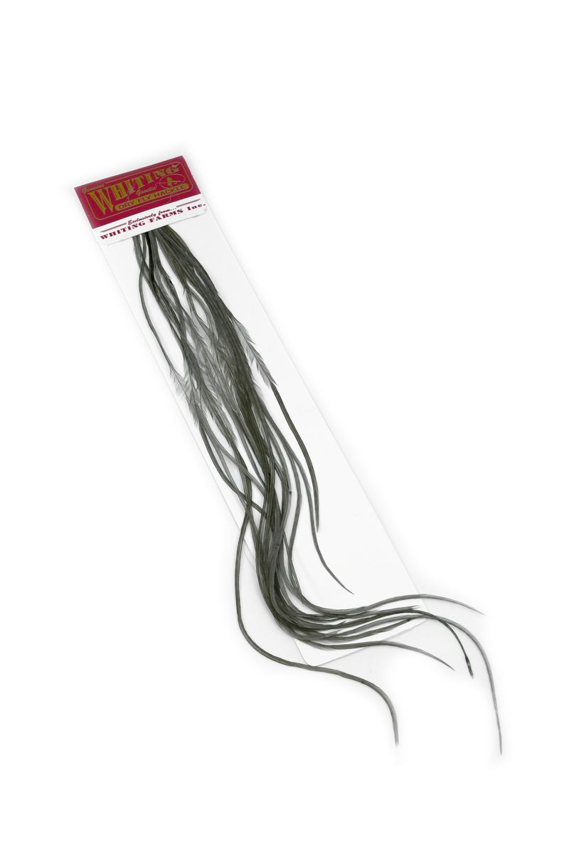 Whiting 100-pk – Size 10 â€“ dealerweb-cms-d04d7a77-fa8f-451b-b1d1-09411e558d4b.jpg