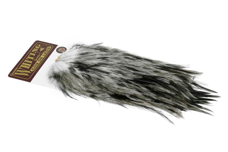 Whiting Coq de Leon Rooster Saddle – Bronze â€“ dealerweb-cms-d387f297-cc53-4fc0-9e5c-76fe2cb5f074.jpg
