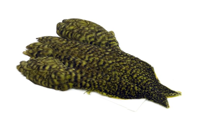 Whiting 4 B's Hen Cape â€“ dealerweb-cms-d6fb5e65-1d21-4fc0-8a89-43c15507b0f0.jpg