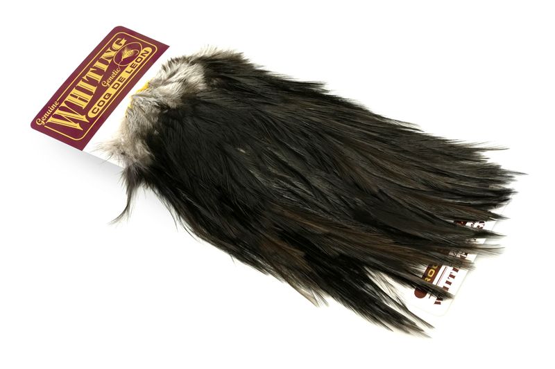 Whiting Coq de Leon Rooster Saddle – Silver â€“ dealerweb-cms-d7bd5e28-dd46-4abe-9b9b-48affa780de9.jpg