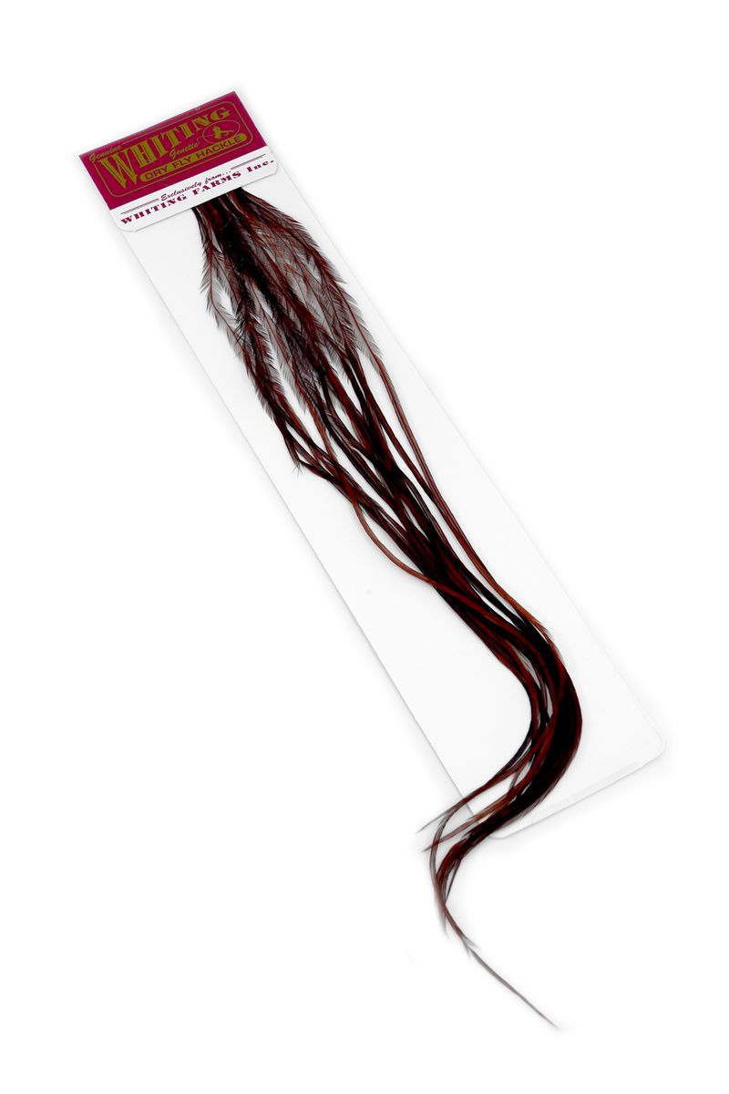 Whiting 100-pk – Size 20 â€“ dealerweb-cms-d7c54f17-7132-4da7-98f6-3c81ad67b583.jpg