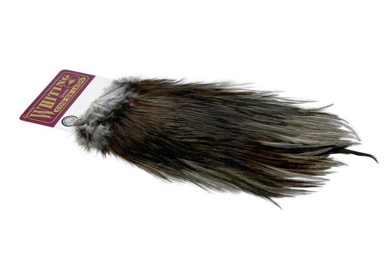 Whiting Coq de Leon Rooster Saddle – Silver â€“ dealerweb-cms-d8e435e9-e2c3-4835-a30e-59a29e967e9e.jpg