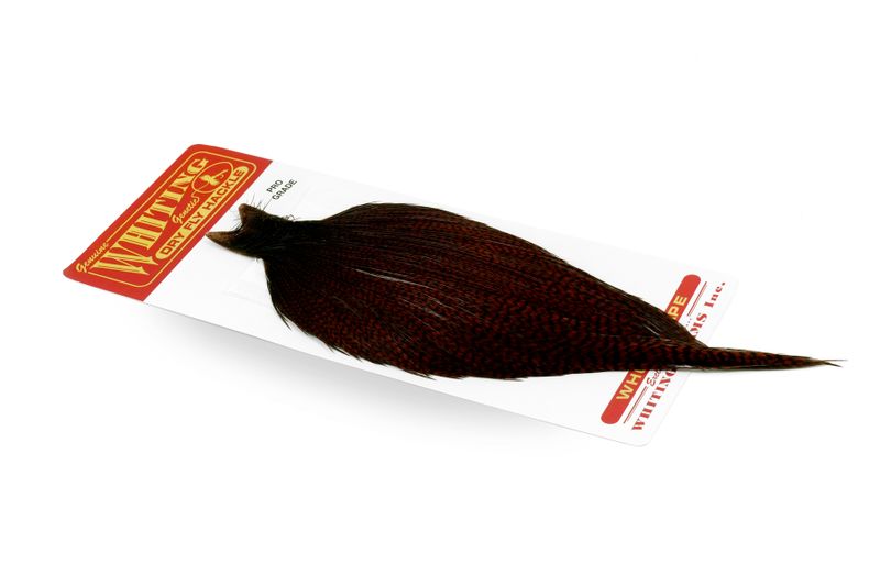 Whiting Rooster Cape – Pro Grade â€“ dealerweb-cms-db30cf0d-fbde-4f80-85f7-5b5cb6f32268.jpg