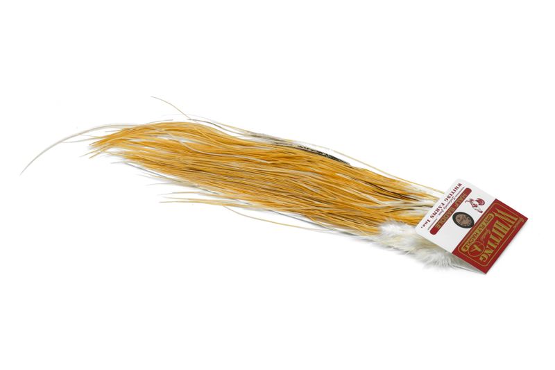 Whiting Rooster Midge 1/2 Saddle – Bronze â€“ dealerweb-cms-db74f3ba-a8fe-4074-8071-443e11f20c60.jpg
