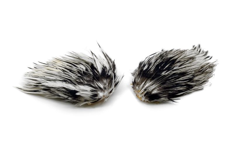 Whiting American Streamer Pack â€“ dealerweb-cms-dbda908b-ca4f-481f-b215-75d761abdb8e.jpg
