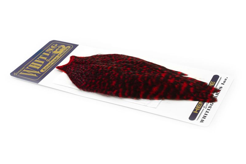Whiting American Hen Cape â€“ dealerweb-cms-de77943b-4995-49a0-9573-3ca28bca31d9.jpg