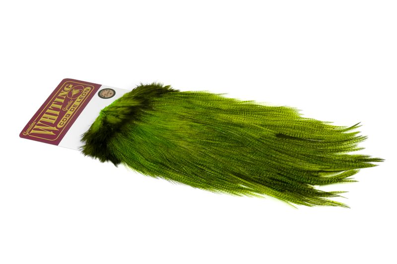 Whiting Coq de Leon Rooster Saddle – Bronze â€“ dealerweb-cms-e0bf1a07-aa8f-419b-91c6-a1c7fa09d384.jpg