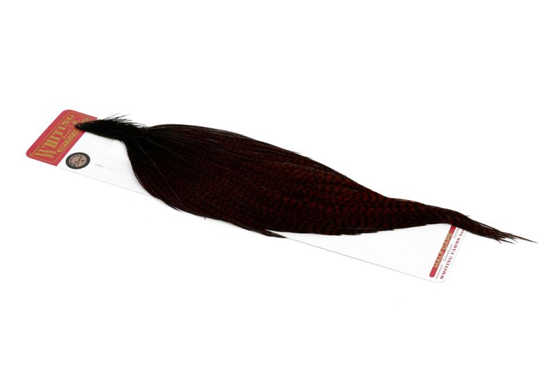 Whiting Rooster 1/2 Cape – Bronze â€“ dealerweb-cms-e2d06ece-a6e9-424c-8093-7b3d83f13787.jpg
