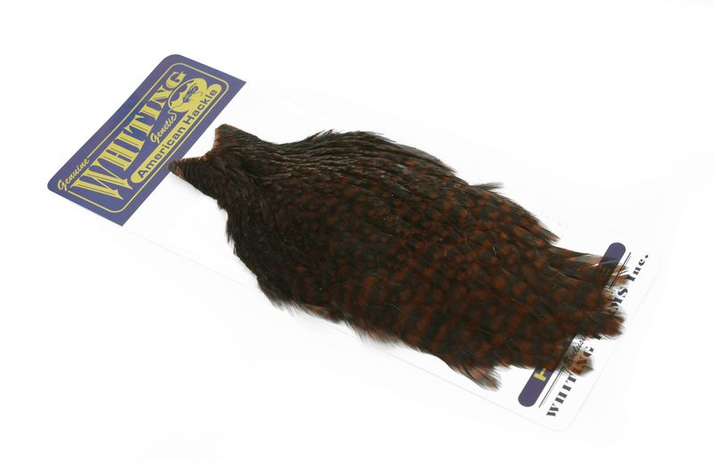 Whiting American Hen Cape â€“ dealerweb-cms-e5364719-3f3c-4554-9841-77ee13df5032.jpg