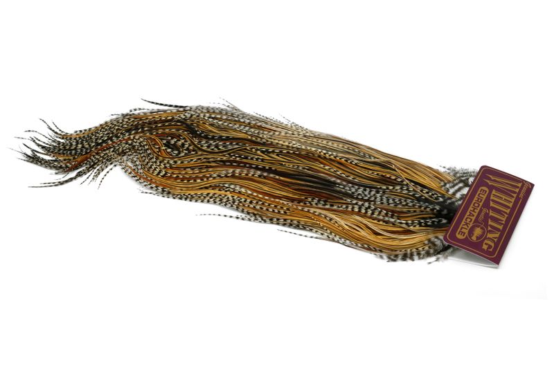 Whiting Eurohackle Saddle â€“ dealerweb-cms-e5597200-c839-44c2-ad82-54643f999e1a.jpg
