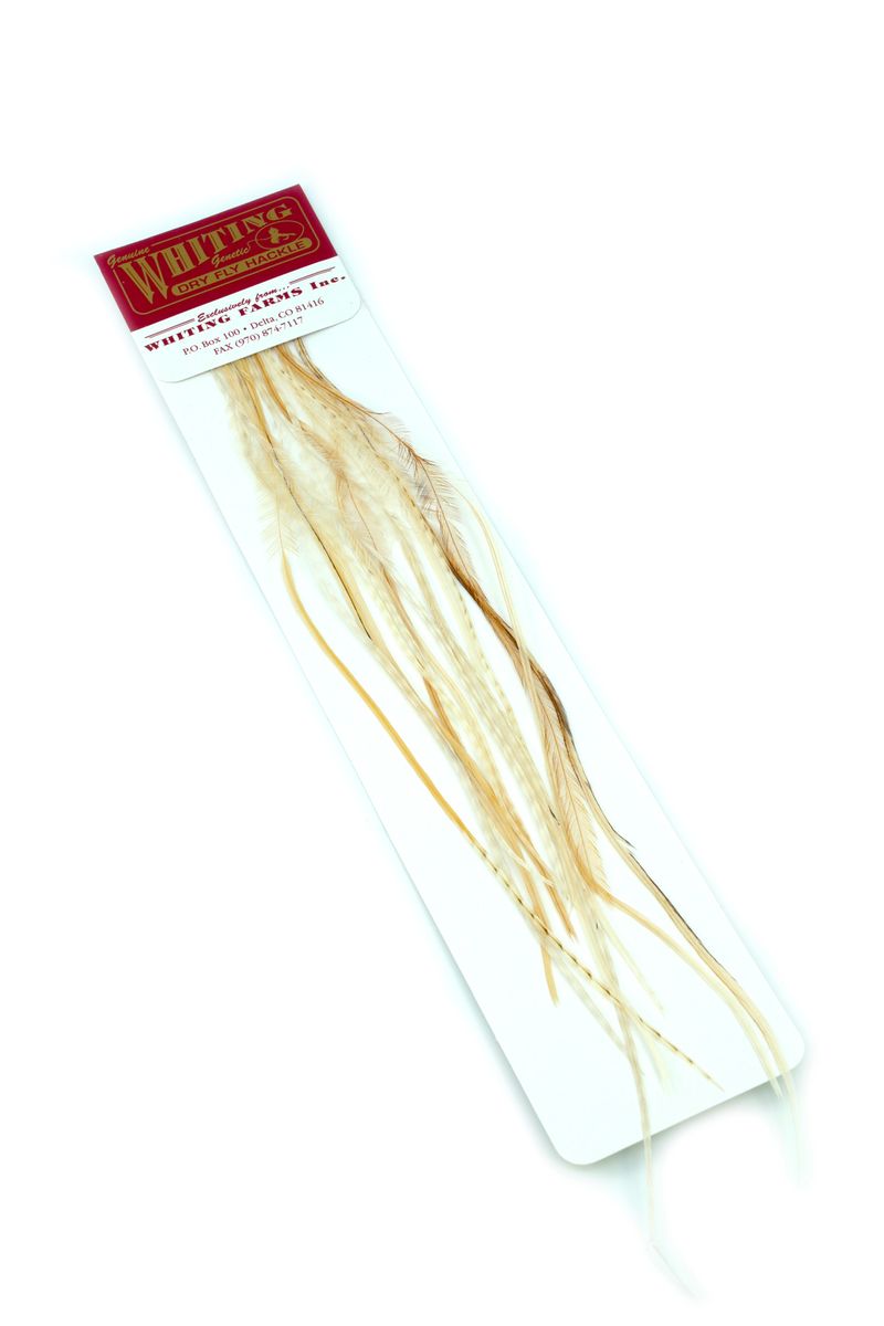 Whiting 100-pk – Size 18 â€“ dealerweb-cms-e8f2c404-8e2e-41c8-bb47-24810602c1a9.jpg