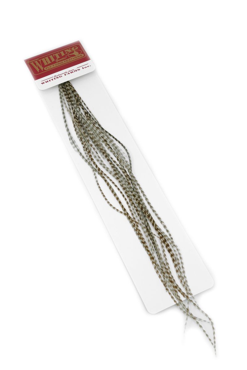 Whiting 100-pk – Size 14 â€“ dealerweb-cms-e9231397-0e80-4d1d-ae76-387a4c2cb170.jpg