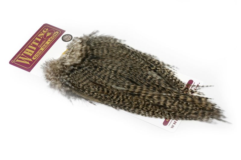 Whiting Coq de Leon Rooster Saddle – Gold â€“ dealerweb-cms-eb97d348-172b-42e5-84c5-7860982a301f.jpg
