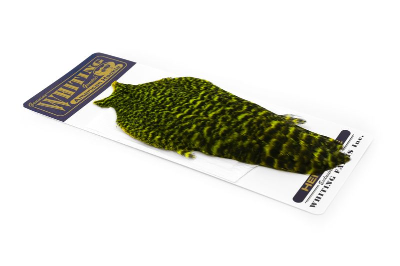 Whiting American Hen Cape â€“ dealerweb-cms-ee4583b7-1e76-4647-abd5-a840cb68cbf9.jpg