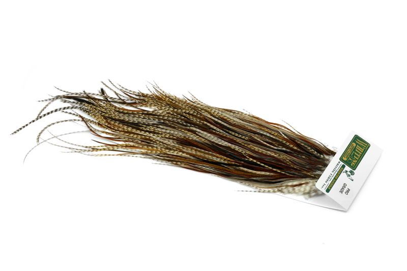 Whiting Hebert Rooster Saddle – Pro Grade â€“ dealerweb-cms-effdde6d-00ff-4336-bfd4-141cc4d3f12f.jpg