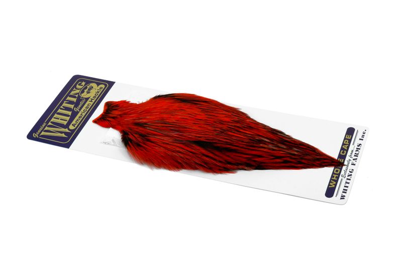 Whiting American Rooster Cape â€“ dealerweb-cms-f6daa13f-2e6a-4f88-938e-e3b9c5455ee7.jpg