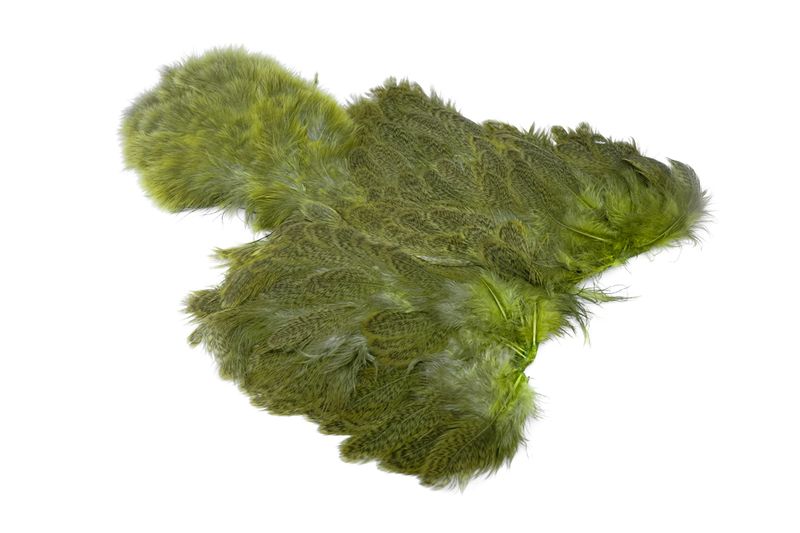 Whiting Brahma Hen SH/C â€“ dealerweb-cms-f823cbe1-d4df-40ca-b3ab-0d586c12a366.jpg
