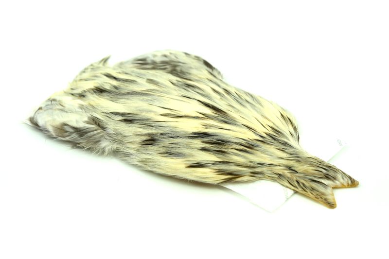 Whiting 4 B's Rooster Cape â€“ dealerweb-cms-fe906fd1-0b40-4c1d-842f-1408cb7c6437.jpg