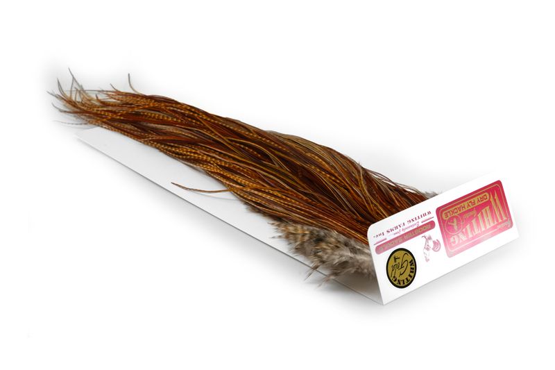 Whiting Rooster Saddle – Gold â€“ dealerweb-cms-ffc7af56-3b8f-44b9-9fce-dea7fbf02789.jpg