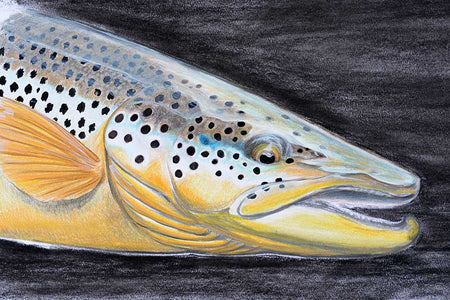 Du tilføjede <b><u>Thomas Weiergang original 37x35 cm - Havørred 4</u></b> til kurven.
