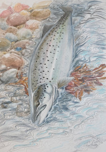 Du tilføjede <b><u>Thomas Weiergang original A2 - Havørred 13</u></b> til kurven.