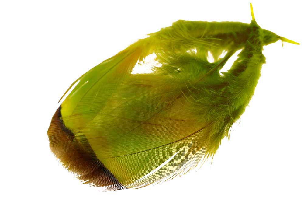 French Partridge - Olive