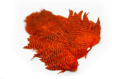 Du tilføjede <b><u>Whiting Rooster Softhackle W Chickabou SH/C - Grizzly dyed Orange</u></b> til kurven.