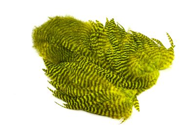 Du tilføjede <b><u>Whiting Rooster Softhackle W Chickabou SH/C Grizzly dyed Fl. Yellow Chartreuse</u></b> til kurven.