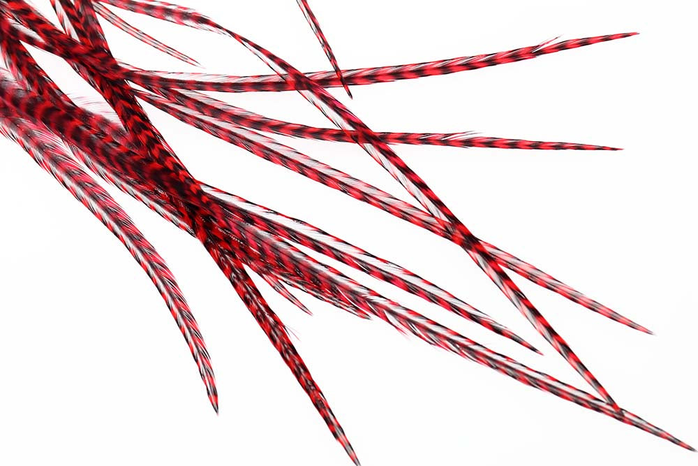 10+ Selected Flatwing/dryfly Feather - Grizzly Red