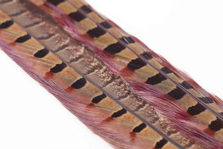 Du tilføjede <b><u>Ringneck Pheasant tail 1 Pair - Rusty Brown</u></b> til kurven.