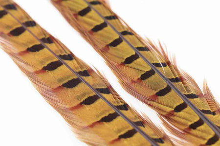 Du tilføjede <b><u>Ringneck Pheasant Tail 1 Pair - Golden Yellow</u></b> til kurven.