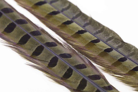 Du tilføjede <b><u>Ringneck Pheasant tail 1 Pair - Olive</u></b> til kurven.