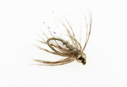 Du tilføjede <b><u>Greyling Special - 12</u></b> til kurven.