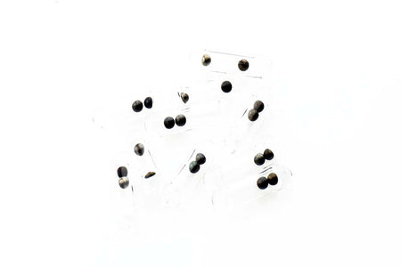 Du tilføjede <b><u>Fly Rattles</u></b> til kurven.