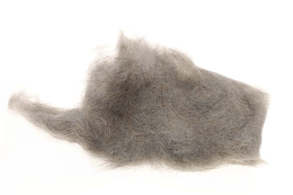 SLF Squirrel - Natural Gray