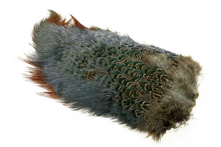 Du tilføjede <b><u>Ringneck Rump Patch - Natural</u></b> til kurven.