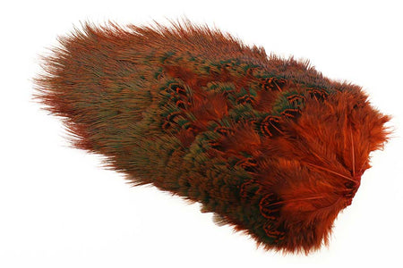 Du tilføjede <b><u>Ringneck Rump Patch - Orange</u></b> til kurven.