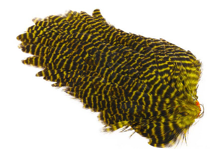 Du tilføjede <b><u>Ewing #1 Hen Saddle Grizzly Yellow</u></b> til kurven.