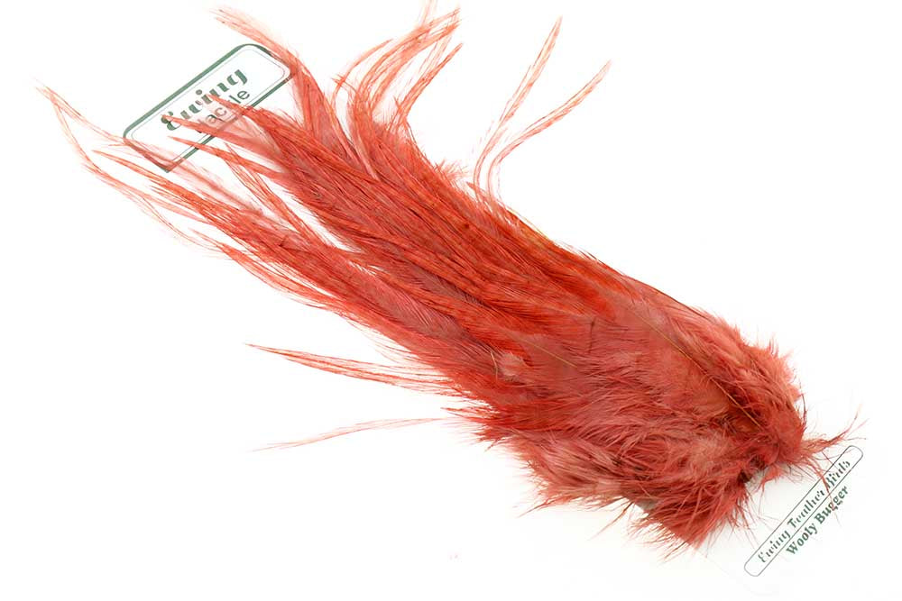 Ewing Wooly Bugger Pack - Ginger
