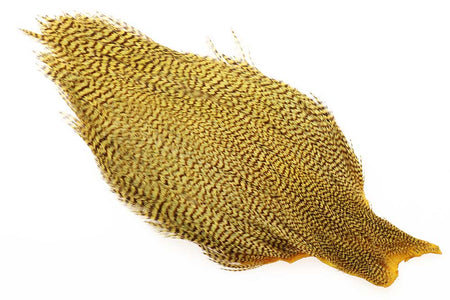 Du tilføjede <b><u>Ewing #1 Cape Bleached Golden Olive</u></b> til kurven.