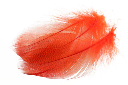 Du tilføjede <b><u>Mallard Duck Flank Large Selected - Fl. Fire Orange</u></b> til kurven.