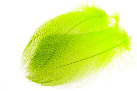 Du tilføjede <b><u>Mallard Duck Flank Large Selected - Fl. Chartreuse</u></b> til kurven.