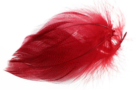 Du tilføjede <b><u>Mallard Duck Flank Large Selected - Red</u></b> til kurven.